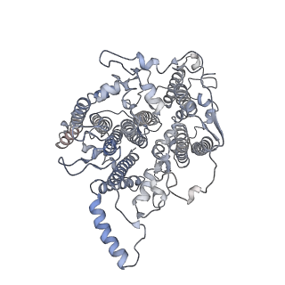 10558_6trc_a_v1-0
Cryo- EM structure of the Thermosynechococcus elongatus photosystem I in the presence of cytochrome c6