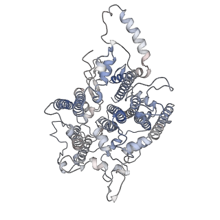 10558_6trc_b_v1-0
Cryo- EM structure of the Thermosynechococcus elongatus photosystem I in the presence of cytochrome c6