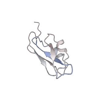 10558_6trc_c_v1-0
Cryo- EM structure of the Thermosynechococcus elongatus photosystem I in the presence of cytochrome c6