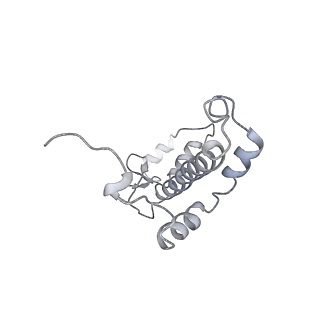 10558_6trc_f_v1-0
Cryo- EM structure of the Thermosynechococcus elongatus photosystem I in the presence of cytochrome c6