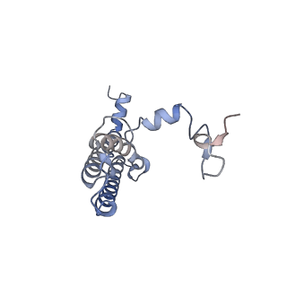 10558_6trc_l_v1-0
Cryo- EM structure of the Thermosynechococcus elongatus photosystem I in the presence of cytochrome c6