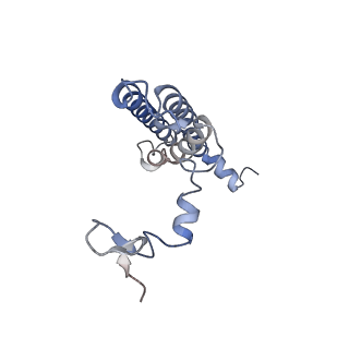 10559_6trd_0_v1-0
Cryo- EM structure of the Thermosynechococcus elongatus photosystem I in the presence of cytochrome c6