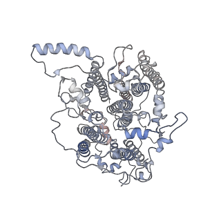 10559_6trd_1_v1-0
Cryo- EM structure of the Thermosynechococcus elongatus photosystem I in the presence of cytochrome c6