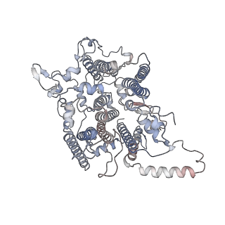 10559_6trd_2_v1-0
Cryo- EM structure of the Thermosynechococcus elongatus photosystem I in the presence of cytochrome c6