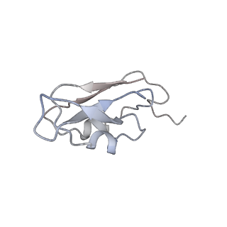 10559_6trd_3_v1-0
Cryo- EM structure of the Thermosynechococcus elongatus photosystem I in the presence of cytochrome c6