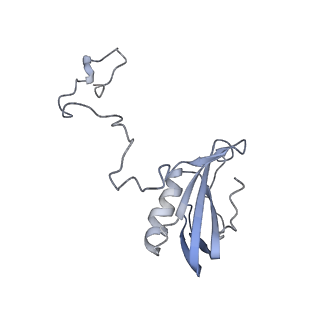 10559_6trd_4_v1-0
Cryo- EM structure of the Thermosynechococcus elongatus photosystem I in the presence of cytochrome c6