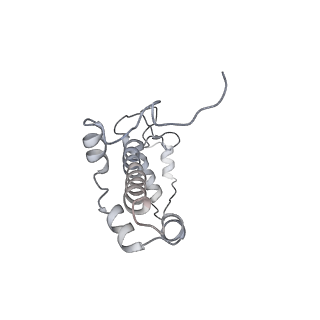 10559_6trd_6_v1-0
Cryo- EM structure of the Thermosynechococcus elongatus photosystem I in the presence of cytochrome c6