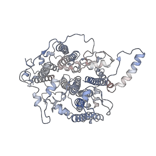 10559_6trd_A_v1-0
Cryo- EM structure of the Thermosynechococcus elongatus photosystem I in the presence of cytochrome c6