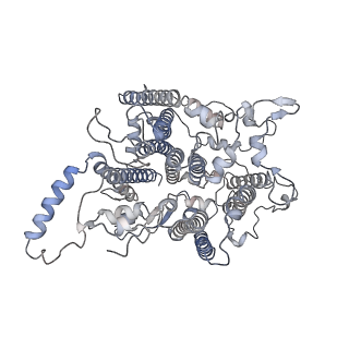 10559_6trd_B_v1-0
Cryo- EM structure of the Thermosynechococcus elongatus photosystem I in the presence of cytochrome c6