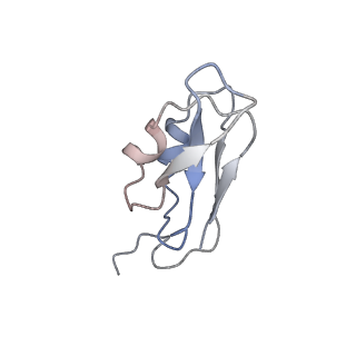 10559_6trd_C_v1-0
Cryo- EM structure of the Thermosynechococcus elongatus photosystem I in the presence of cytochrome c6