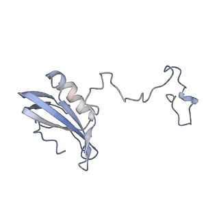 10559_6trd_D_v1-0
Cryo- EM structure of the Thermosynechococcus elongatus photosystem I in the presence of cytochrome c6