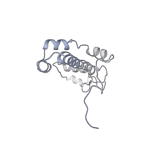 10559_6trd_F_v1-0
Cryo- EM structure of the Thermosynechococcus elongatus photosystem I in the presence of cytochrome c6
