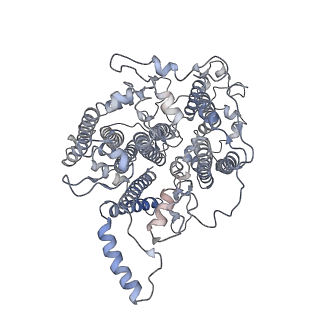 10559_6trd_a_v1-0
Cryo- EM structure of the Thermosynechococcus elongatus photosystem I in the presence of cytochrome c6
