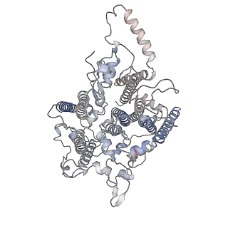 10559_6trd_b_v1-0
Cryo- EM structure of the Thermosynechococcus elongatus photosystem I in the presence of cytochrome c6
