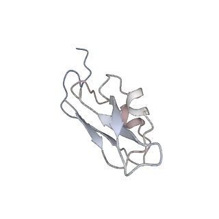 10559_6trd_c_v1-0
Cryo- EM structure of the Thermosynechococcus elongatus photosystem I in the presence of cytochrome c6