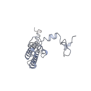 10559_6trd_l_v1-0
Cryo- EM structure of the Thermosynechococcus elongatus photosystem I in the presence of cytochrome c6