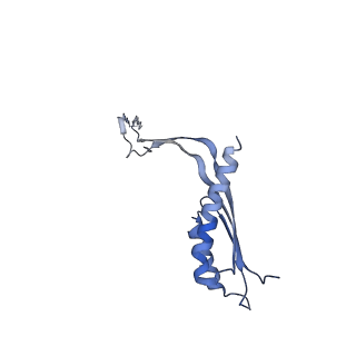 10560_6tre_1_v1-0
Structure of the RBM3/collar region of the Salmonella flagella MS-ring protein FliF with 32-fold symmetry applied