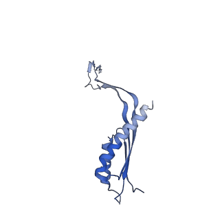 10560_6tre_3_v1-0
Structure of the RBM3/collar region of the Salmonella flagella MS-ring protein FliF with 32-fold symmetry applied