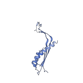 10560_6tre_4_v1-0
Structure of the RBM3/collar region of the Salmonella flagella MS-ring protein FliF with 32-fold symmetry applied