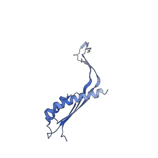 10560_6tre_6_v1-0
Structure of the RBM3/collar region of the Salmonella flagella MS-ring protein FliF with 32-fold symmetry applied