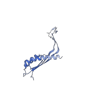 10560_6tre_A_v1-0
Structure of the RBM3/collar region of the Salmonella flagella MS-ring protein FliF with 32-fold symmetry applied