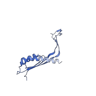 10560_6tre_B_v1-0
Structure of the RBM3/collar region of the Salmonella flagella MS-ring protein FliF with 32-fold symmetry applied