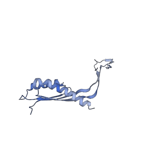 10560_6tre_D_v1-0
Structure of the RBM3/collar region of the Salmonella flagella MS-ring protein FliF with 32-fold symmetry applied