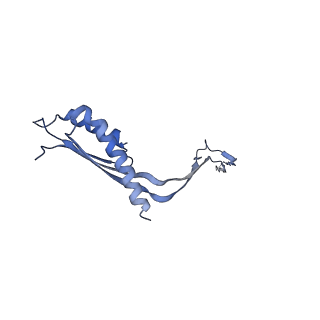 10560_6tre_G_v1-0
Structure of the RBM3/collar region of the Salmonella flagella MS-ring protein FliF with 32-fold symmetry applied