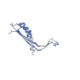 10560_6tre_H_v1-0
Structure of the RBM3/collar region of the Salmonella flagella MS-ring protein FliF with 32-fold symmetry applied