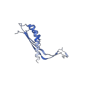 10560_6tre_I_v1-0
Structure of the RBM3/collar region of the Salmonella flagella MS-ring protein FliF with 32-fold symmetry applied