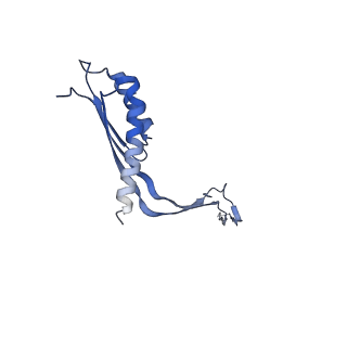 10560_6tre_J_v1-0
Structure of the RBM3/collar region of the Salmonella flagella MS-ring protein FliF with 32-fold symmetry applied