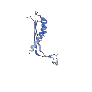 10560_6tre_L_v1-0
Structure of the RBM3/collar region of the Salmonella flagella MS-ring protein FliF with 32-fold symmetry applied