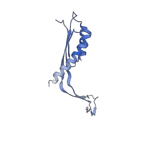 10560_6tre_M_v1-0
Structure of the RBM3/collar region of the Salmonella flagella MS-ring protein FliF with 32-fold symmetry applied