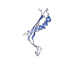 10560_6tre_O_v1-0
Structure of the RBM3/collar region of the Salmonella flagella MS-ring protein FliF with 32-fold symmetry applied