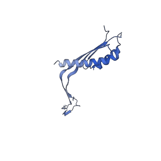 10560_6tre_Q_v1-0
Structure of the RBM3/collar region of the Salmonella flagella MS-ring protein FliF with 32-fold symmetry applied