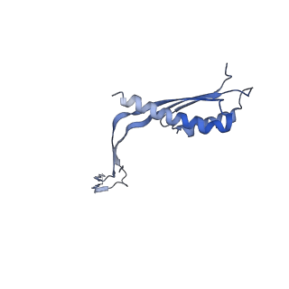 10560_6tre_S_v1-0
Structure of the RBM3/collar region of the Salmonella flagella MS-ring protein FliF with 32-fold symmetry applied