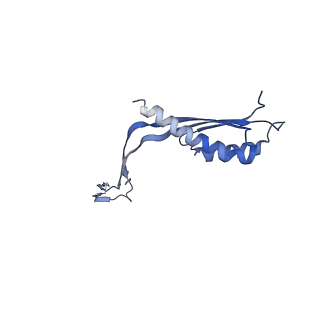 10560_6tre_T_v1-0
Structure of the RBM3/collar region of the Salmonella flagella MS-ring protein FliF with 32-fold symmetry applied