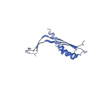10560_6tre_V_v1-0
Structure of the RBM3/collar region of the Salmonella flagella MS-ring protein FliF with 32-fold symmetry applied