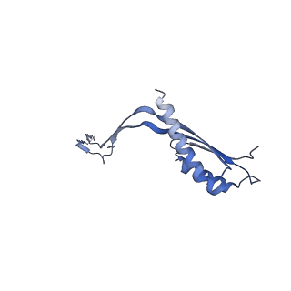 10560_6tre_W_v1-0
Structure of the RBM3/collar region of the Salmonella flagella MS-ring protein FliF with 32-fold symmetry applied