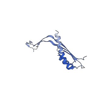 10560_6tre_X_v1-0
Structure of the RBM3/collar region of the Salmonella flagella MS-ring protein FliF with 32-fold symmetry applied