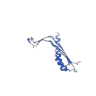 10560_6tre_Y_v1-0
Structure of the RBM3/collar region of the Salmonella flagella MS-ring protein FliF with 32-fold symmetry applied
