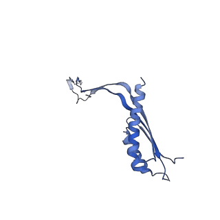 10560_6tre_Z_v1-0
Structure of the RBM3/collar region of the Salmonella flagella MS-ring protein FliF with 32-fold symmetry applied