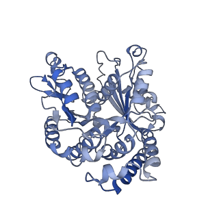 26077_7tr0_A_v1-2
CaKip3[2-436] - AMP-PNP in complex with a microtubule