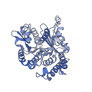 26077_7tr0_B_v1-2
CaKip3[2-436] - AMP-PNP in complex with a microtubule