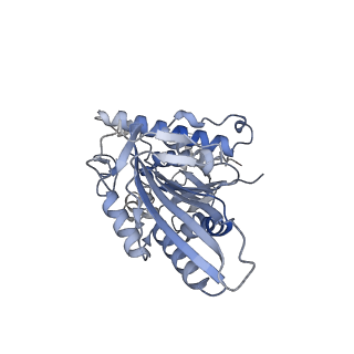26077_7tr0_K_v1-1
CaKip3[2-436] - AMP-PNP in complex with a microtubule