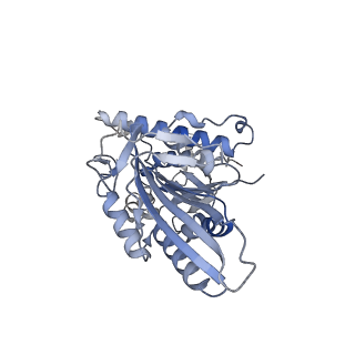 26077_7tr0_K_v1-2
CaKip3[2-436] - AMP-PNP in complex with a microtubule