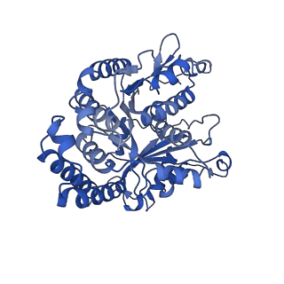 26078_7tr1_A_v1-2
CaKip3[2-436]-L2-mutant(HsKHC) - AMP-PNP in complex with a microtubule