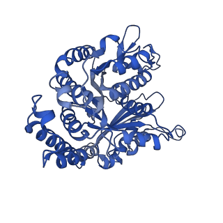 26078_7tr1_B_v1-2
CaKip3[2-436]-L2-mutant(HsKHC) - AMP-PNP in complex with a microtubule