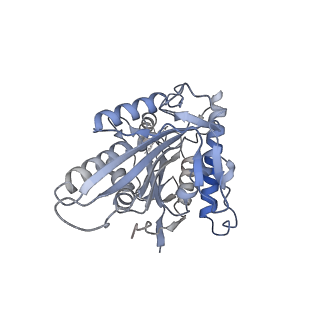 26078_7tr1_K_v1-1
CaKip3[2-436]-L2-mutant(HsKHC) - AMP-PNP in complex with a microtubule