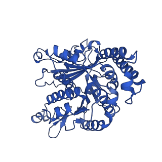 26079_7tr2_A_v1-2
Apo CaKip3[2-436]-L2-mutant(HsKHC) in complex with a microtubule